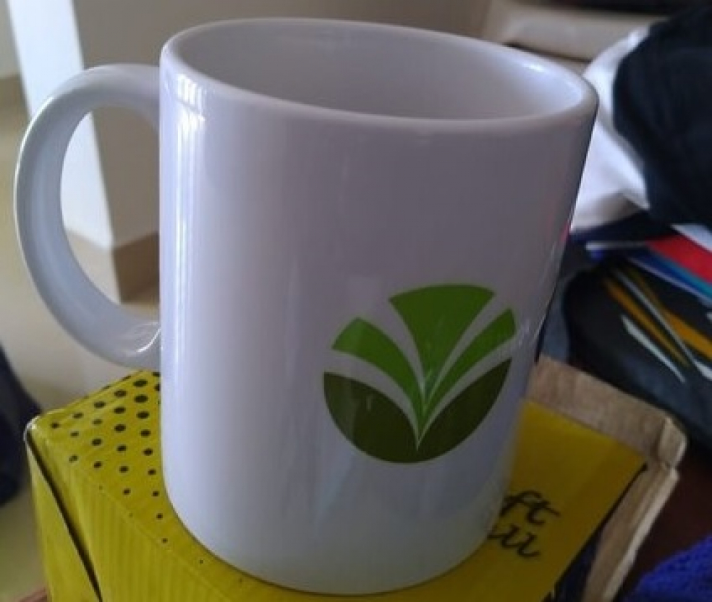 Ceramic Mug (Coffee Mug)